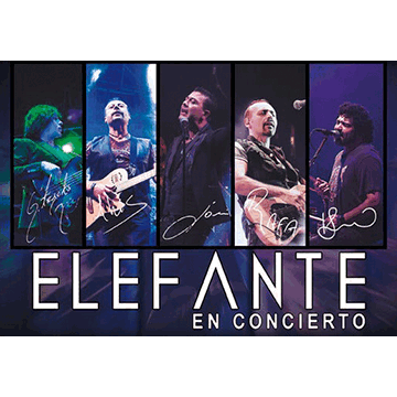 Elefante Concerts in San Antonio