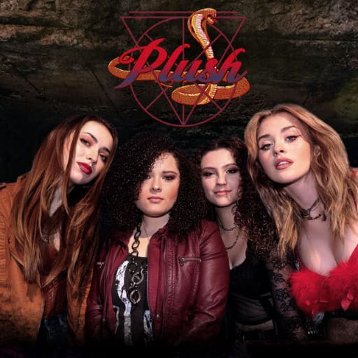Plush Concerts in San Antonio